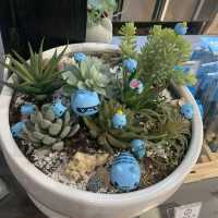 可愛打卡景點-咖波屋