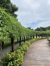 The beautiful Greenland in Macau 