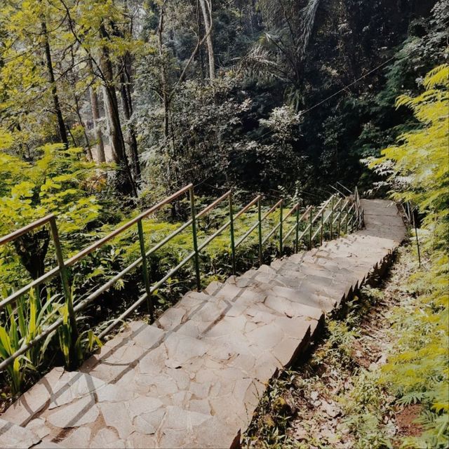 Djuanda Forest Park, Bandung