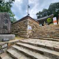 신록에계절 계룡산 동학사에 포행이다.