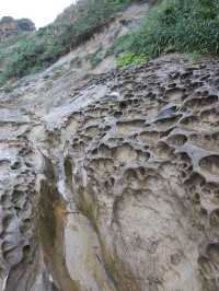 野柳地質公園與女王頭打卡