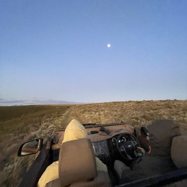 ส่องสัตว์ game drive ที่แอฟริกาใต้