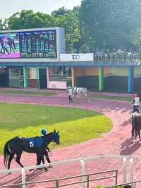 이색적인 경험을 즐기고 싶다면 렛츠런파크🏇