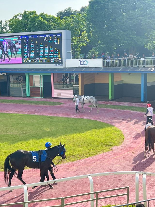 이색적인 경험을 즐기고 싶다면 렛츠런파크🏇