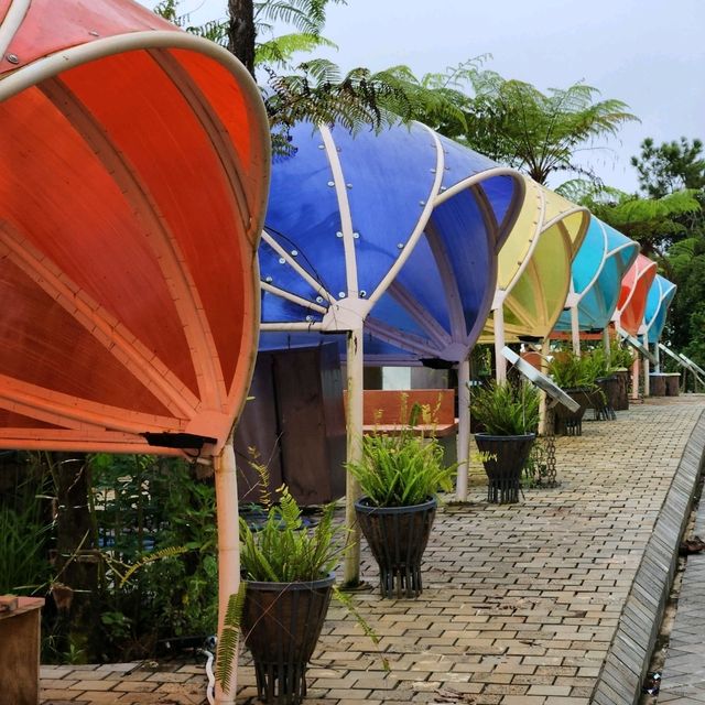 Mang Den Dai Ngan