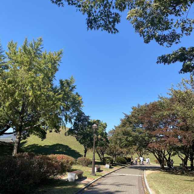 신라를 찾아서! 가을의 대릉원 산책🍂