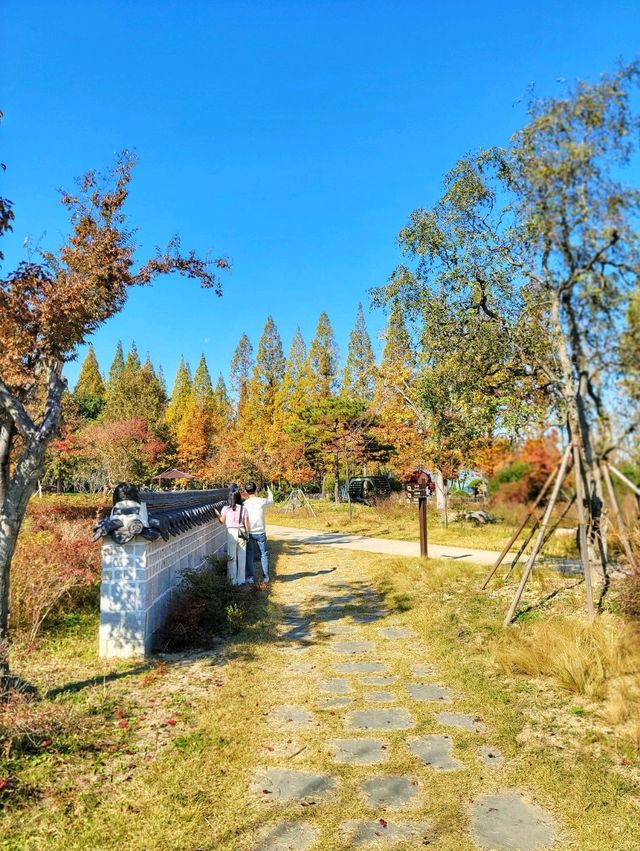 대왕단풍샷 찍고 가을 만끽하기🍁🍂