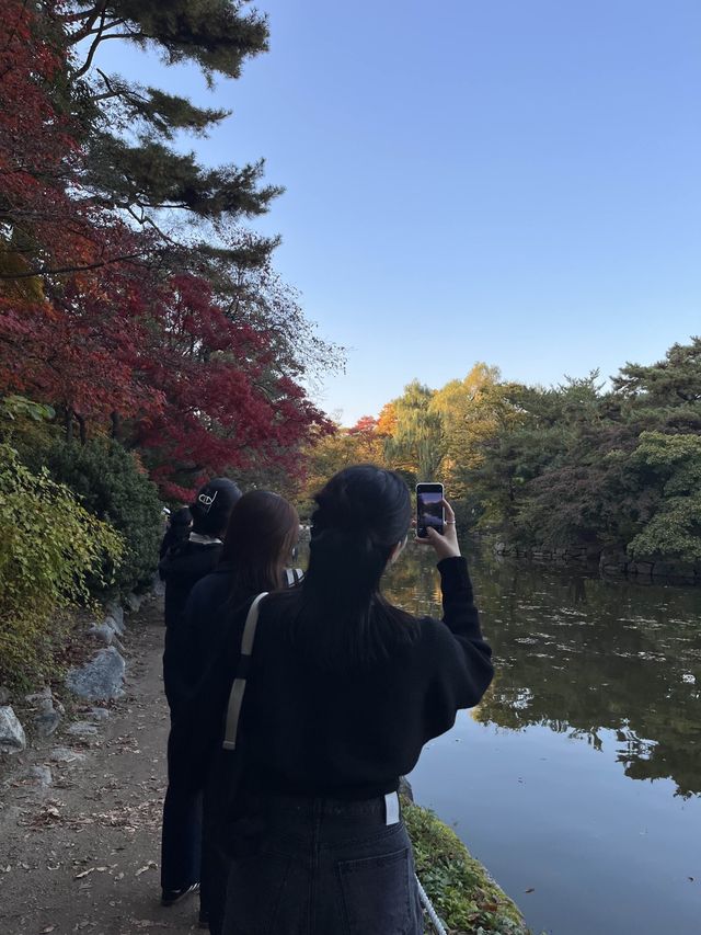 서울에서 가장 쉽게 단풍을 만나볼 수 있는 곳 ‘창경궁’ 