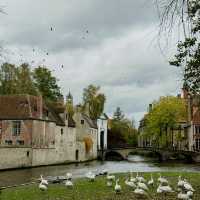 Charm of Bruges Canal! 