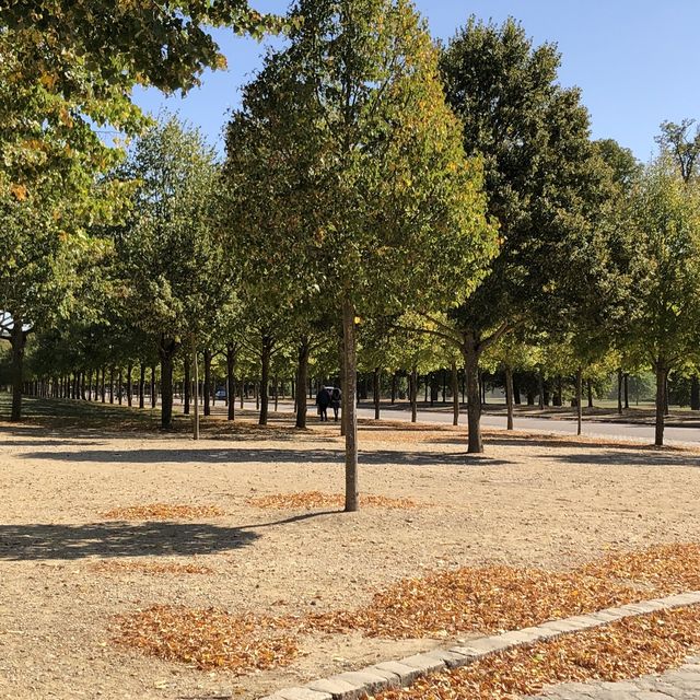 【フランス】ヴェルサイユ宮殿