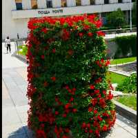 STUNNING PARK IN PLOVDIV!