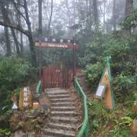 荃錦營地兩日一夜之旅😊