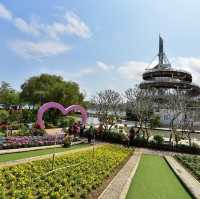大埔海濱公園繡球花一樣咁燦爛👍👍👍