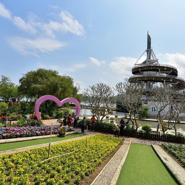 大埔海濱公園繡球花一樣咁燦爛👍👍👍