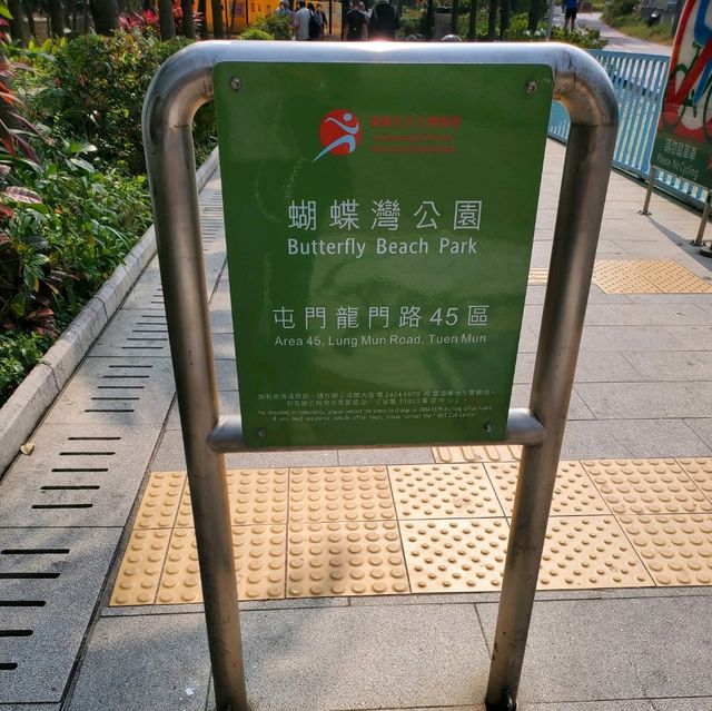 蝴蝶在飛舞