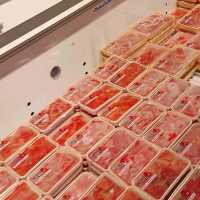 親子食買玩無料入場 ~ 伊豆明太子見學工場 ~ 