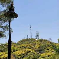 Victoria Peak Garden - the once Mountain Lodge, a summer residence for Governor in colonial era