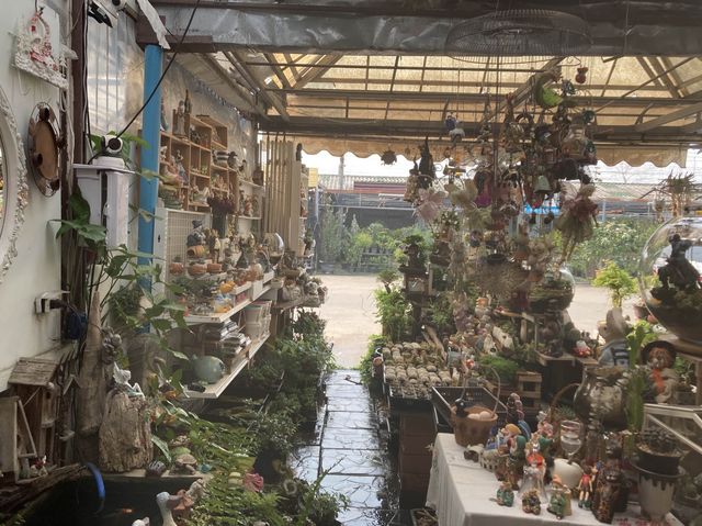ทริปหาซื้อต้นไม้ฟอกอากาศ @เชียงใหม่
