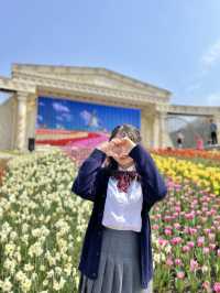 네덜란드 튤립 축제 부럽지 않은 에버랜드🌷
