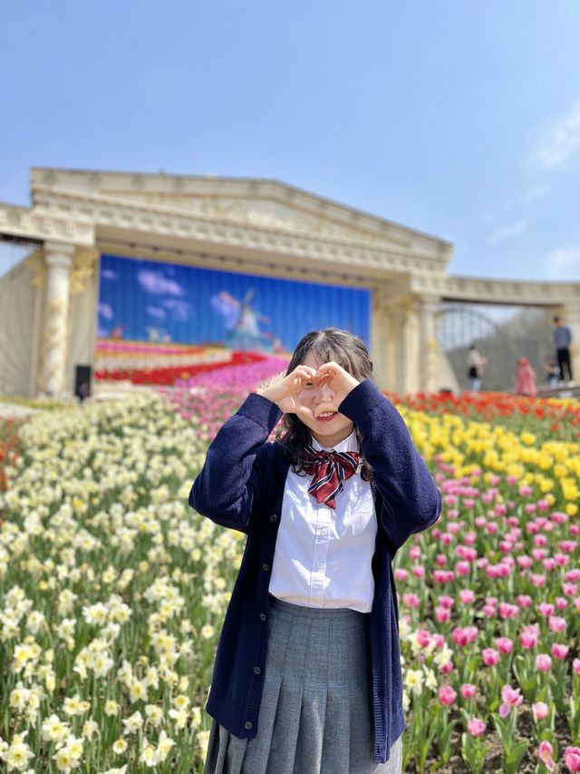 네덜란드 튤립 축제 부럽지 않은 에버랜드🌷