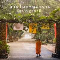 สวนโมกขพลาราม สุราษฎร์ธานี 