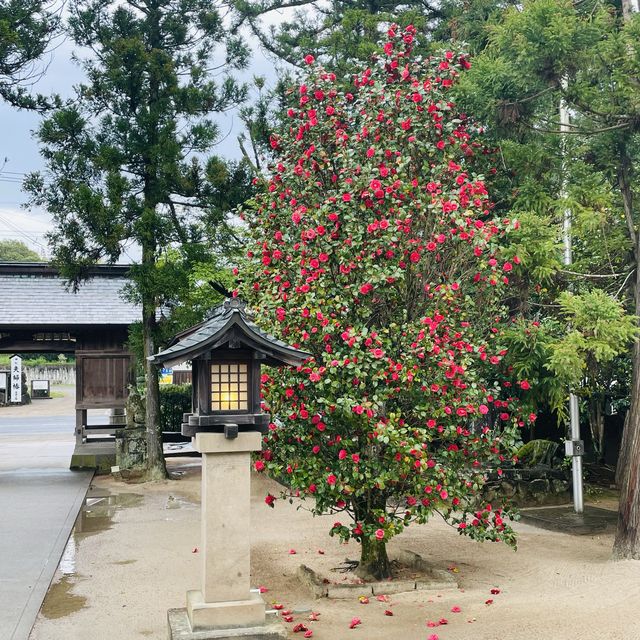 【島根県/八重垣神社と鏡の池】