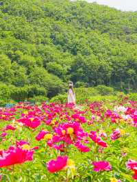 🌿5월 꼭 가봐야할 대구•경주 여행지🌸
