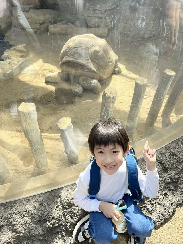 東京親子遊 - 恩賜上野動物園
