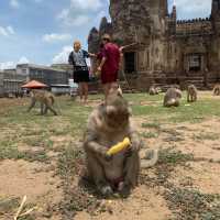 เที่ยวลพบุรี เมืองลิง 🦧