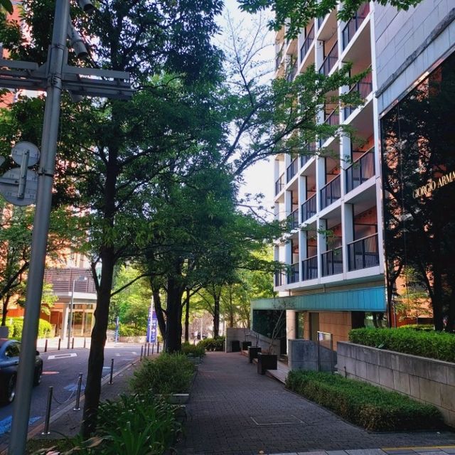 Ropponggi Hills, the Tokyo style of modernity