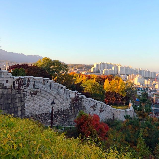 단풍지는 🌳낙산공원 성곽길 🌳에서 없는 감수성도 끌어올려~