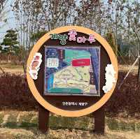 인천 가을 꽃 여기가 최고 !