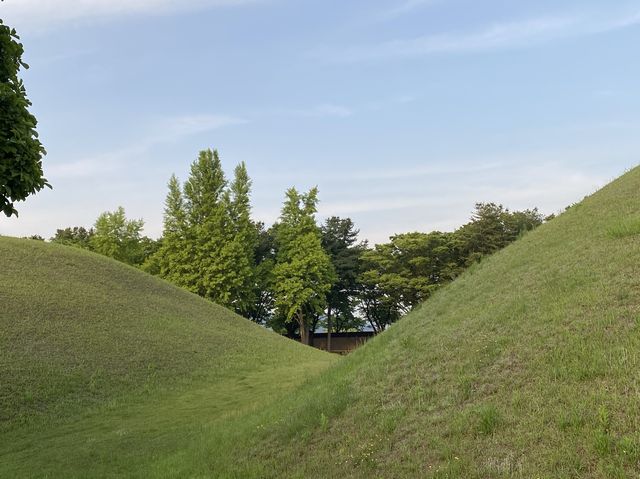 🇰🇷 경주 대릉원 나들이