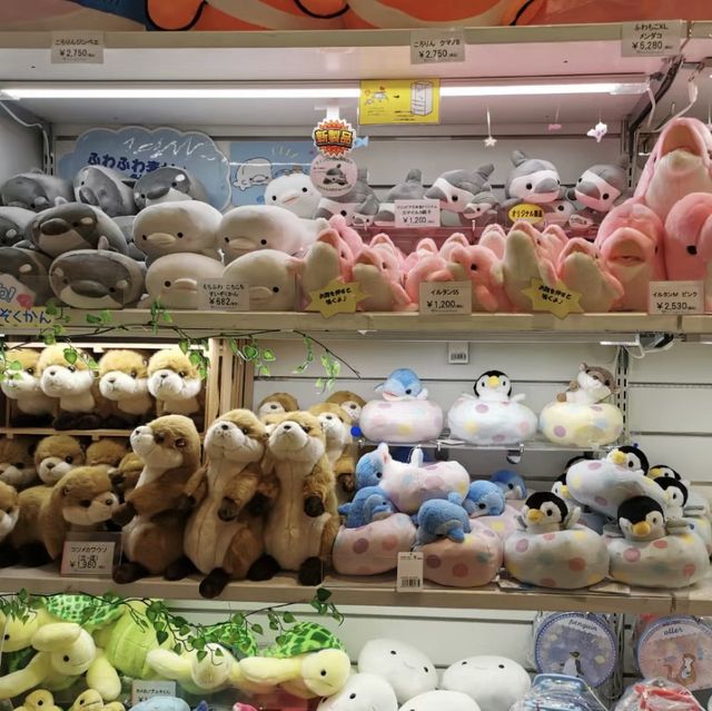 海洋奇妙～新潟市水族館 Marinepia 日本海🐠🌊🐙