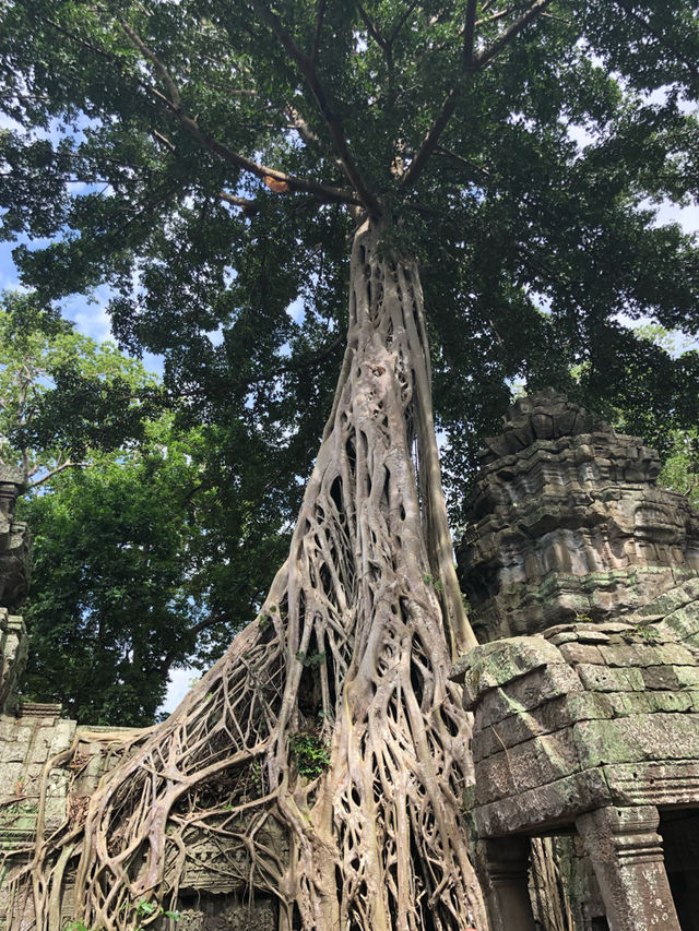 Magnificent Angkor Wat