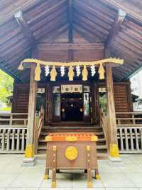 【東京都/蔵前神社】ミモザ咲かない緑豊かな境内