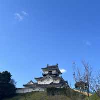 藤井聡太さんが八冠を成し遂げた茶室