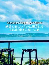 【保存版】さくっとエスケープ！どこかへ行きたい気分のときに！奄美一人旅プラン✈️