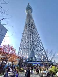 เที่ยว Tokyo Sky Tree ตึกที่สูงที่สุดในญี่ปุ่น