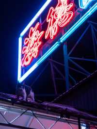 Discover the last neon signs at this hidden fishing village! 📷