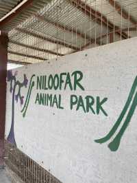 Niloofar Mini Zoo | Pantai Remis