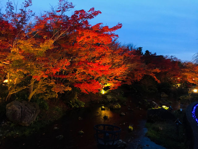 Jewellumination at Nabana no Sato