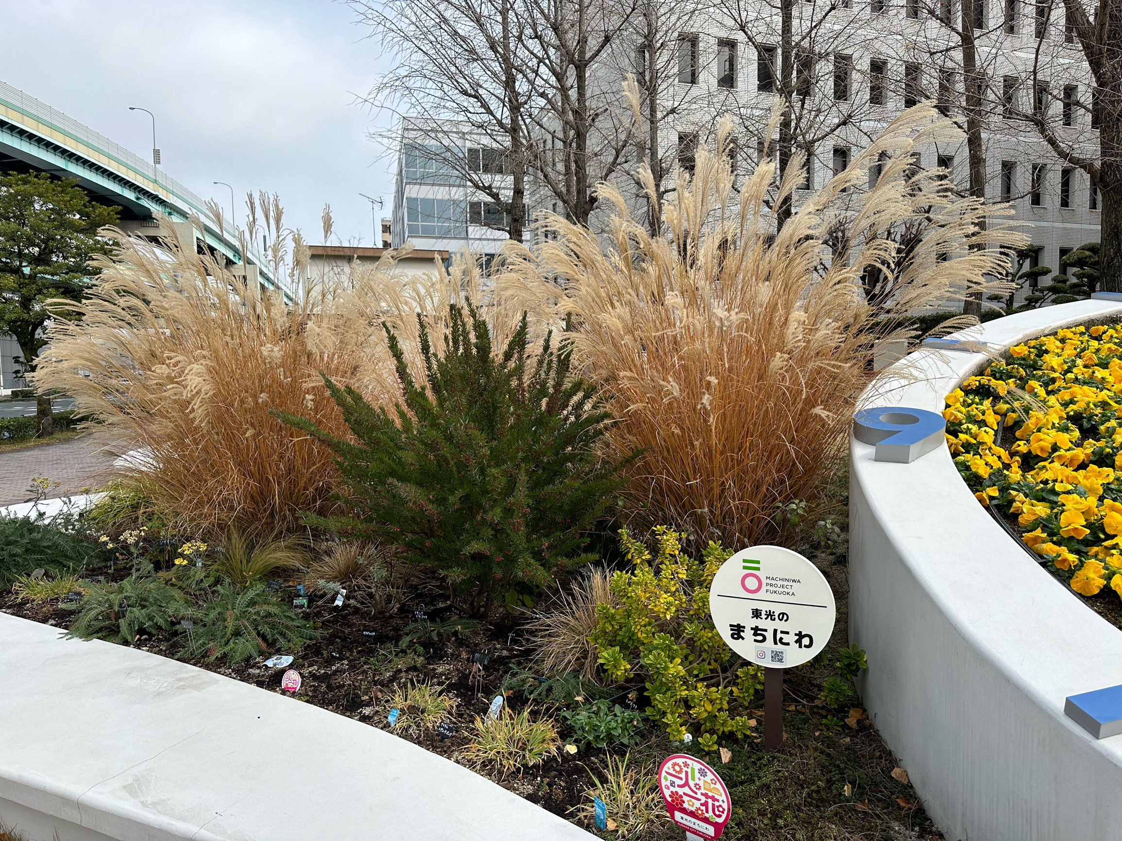 福岡・東光。大きな花時計がきれいです『花時計(正興電機製作所本社前