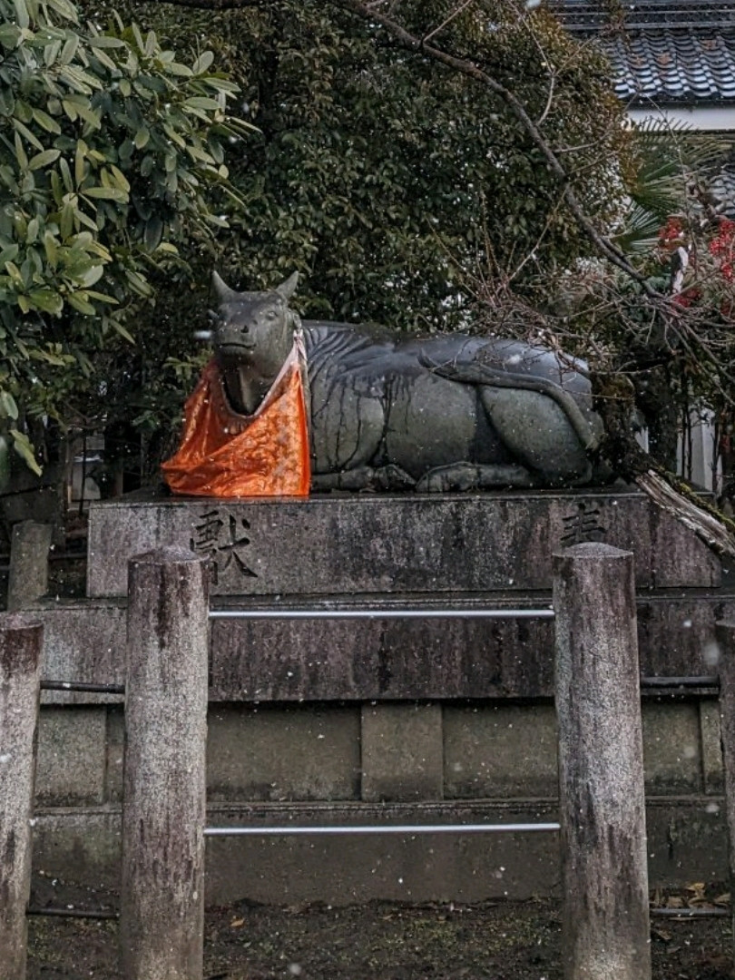 北野天満宮の撫で牛の頭は、どの撫で牛もピカピカ！！ | Trip.com 京都