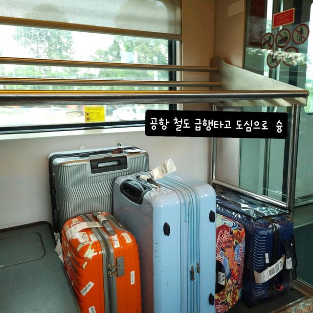 제 2의 고향 정했음
