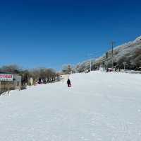 御在所岳，各個地方滑雪橇的小建議