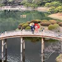 栗林公園🍁十二月賞楓❤️一步一景