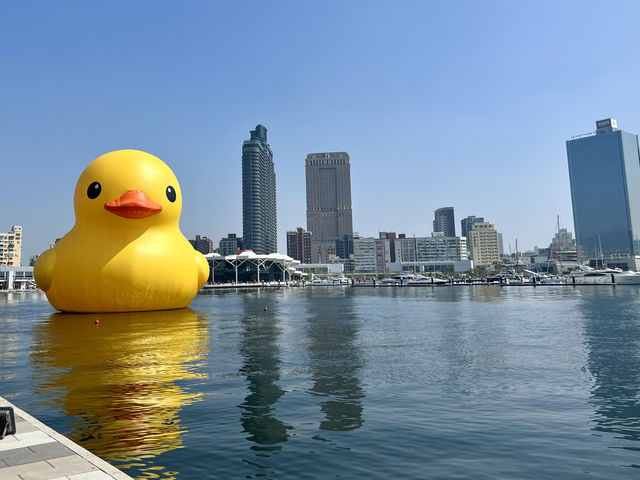 高雄市 高雄港黃色小鴨🐤