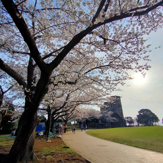 Negishi Park