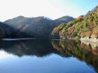 Fall in Nunobiki Park